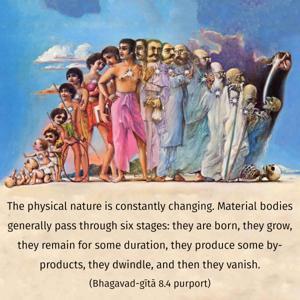 Purport to Bhagavad Gita 8.4 image - thumbnail size