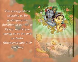 Purport to Bhagavad Gita 9.19 image - thumbnail size