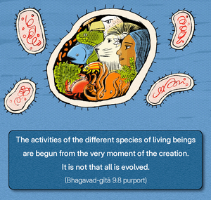 Purport to Bhagavad Gita 9.8 image - thumbnail size