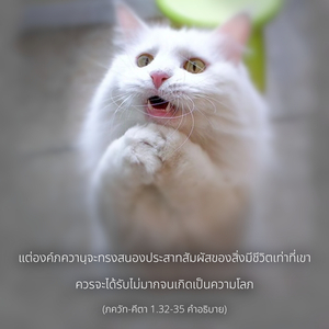 อรรถกถา ภขวัท-คีตา 1.32-35 ภาพ - thumbnail size