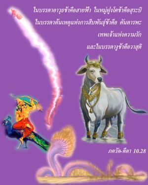 ภขวัท-คีตา 10.28.jpg - thumbnail size