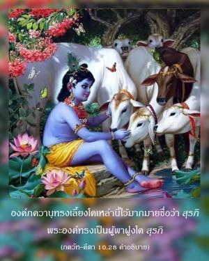 อรรถกถา ภขวัท-คีตา 10.28 ภาพ - thumbnail size