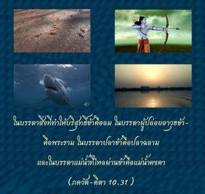 ภขวัท-คีตา 10.31.jpg - thumbnail size