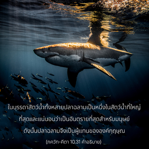 อรรถกถา ภขวัท-คีตา 10.31 ภาพ - thumbnail size