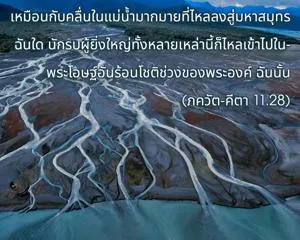 ภขวัท-คีตา 11.28.webp - thumbnail size