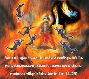 ภขวัท-คีตา 11.29.jpg - thumbnail size