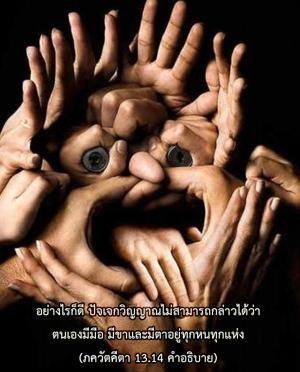 อรรถกถา ภขวัท-คีตา 13.14 ภาพ - thumbnail size