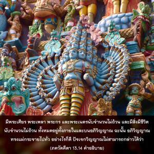 อรรถกถา ภขวัท-คีตา 13.14 ภาพ - thumbnail size