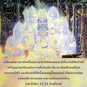 อรรถกถา ภขวัท-คีตา 13.14 ภาพ - thumbnail size