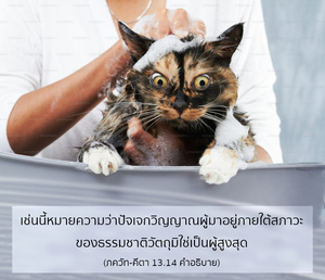 อรรถกถา ภขวัท-คีตา 13.14 ภาพ - thumbnail size