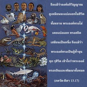 ภขวัท-คีตา 13.17.jpg - thumbnail size