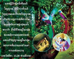 อรรถกถา ภขวัท-คีตา 13.20 ภาพ - thumbnail size