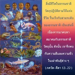 ภขวัท-คีตา 13.22.webp - thumbnail size