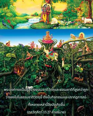 อรรถกถา ภขวัท-คีตา 13.27 ภาพ - thumbnail size