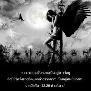 อรรถกถา ภขวัท-คีตา 13.29 ภาพ - thumbnail size