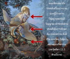 อรรถกถา ภขวัท-คีตา 13.3 ภาพ - thumbnail size