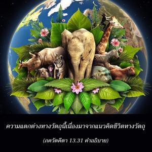 อรรถกถา ภขวัท-คีตา 13.31 ภาพ - thumbnail size