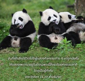 อรรถกถา ภขวัท-คีตา 14.19 ภาพ - thumbnail size
