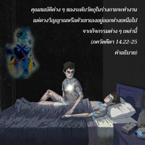 อรรถกถา ภขวัท-คีตา 14.22-25 ภาพ - thumbnail size