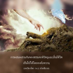 อรรถกถา ภขวัท-คีตา 14.3 ภาพ - thumbnail size