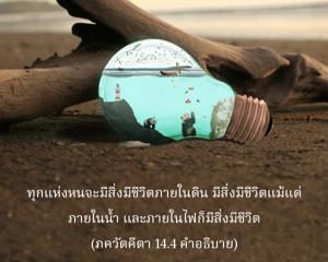 อรรถกถา ภขวัท-คีตา 14.4 ภาพ - thumbnail size