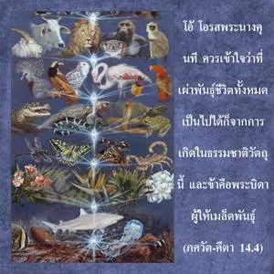 ภขวัท-คีตา 14.4.webp - thumbnail size