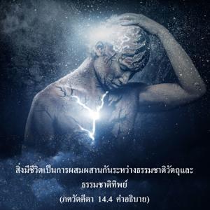 อรรถกถา ภขวัท-คีตา 14.4 ภาพ - thumbnail size