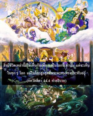 อรรถกถา ภขวัท-คีตา 14.4 ภาพ - thumbnail size