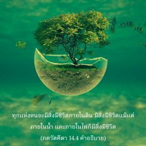 อรรถกถา ภขวัท-คีตา 14.4 ภาพ - thumbnail size