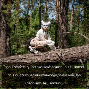 อรรถกถา ภขวัท-คีตา 14.8 ภาพ - thumbnail size