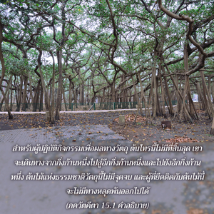 อรรถกถา ภขวัท-คีตา 15.1 ภาพ - thumbnail size
