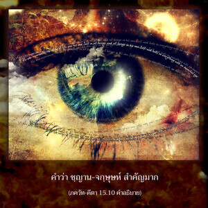 อรรถกถา ภขวัท-คีตา 15.10 ภาพ - thumbnail size