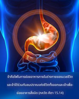 ภขวัท-คีตา 15.14.jpg - thumbnail size