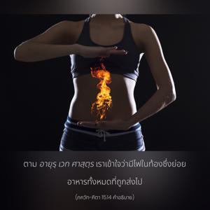 อรรถกถา ภขวัท-คีตา 15.14 ภาพ - thumbnail size