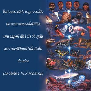 อรรถกถา ภขวัท-คีตา 15.2 ภาพ - thumbnail size