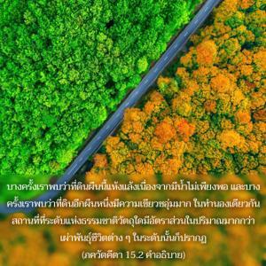 อรรถกถา ภขวัท-คีตา 15.2 ภาพ - thumbnail size