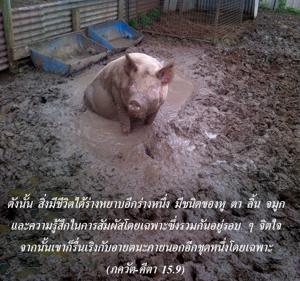 ภขวัท-คีตา 15.9.jpg - thumbnail size