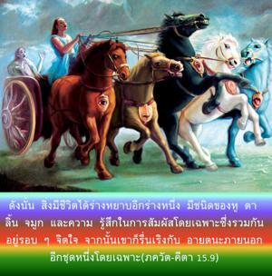 ภขวัท-คีตา 15.9.png - thumbnail size