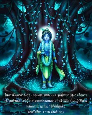 อรรถกถา ภขวัท-คีตา 17.28 ภาพ - thumbnail size