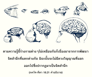 อรรถกถา ภขวัท-คีตา 18.21 ภาพ - thumbnail size