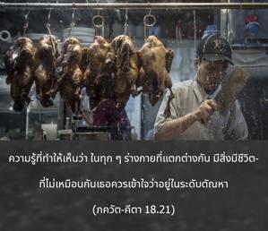 ภขวัท-คีตา 18.21.jpg - thumbnail size