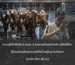 ภขวัท-คีตา 18.21.webp - thumbnail size