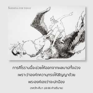 latest_image_18/66 - thumbnail size