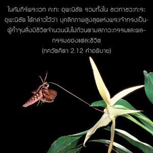 อรรถกถา ภขวัท-คีตา 2.12 ภาพ - thumbnail size