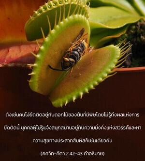 อรรถกถา ภขวัท-คีตา 2.42-43 ภาพ - thumbnail size