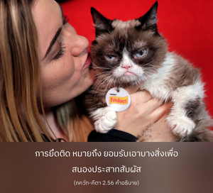 อรรถกถา ภขวัท-คีตา 2.56 ภาพ - thumbnail size