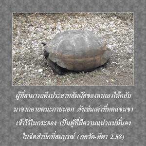 ภขวัท-คีตา 2.58.png - thumbnail size