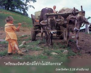 อรรถกถา ภขวัท-คีตา 3.18 ภาพ - thumbnail size