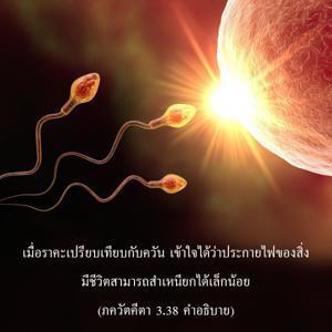 อรรถกถา ภขวัท-คีตา 3.38 ภาพ - thumbnail size