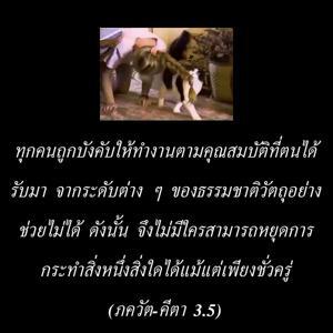 ภขวัท-คีตา 3.5.th.jpg - thumbnail size